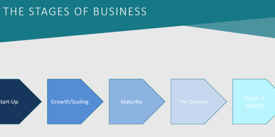 Business Lifecycles